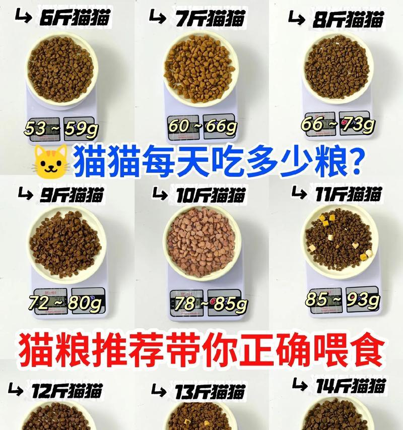 如何喂食小猫放心的猫粮？