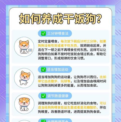 柴犬偷吃猫粮的行为如何纠正？
