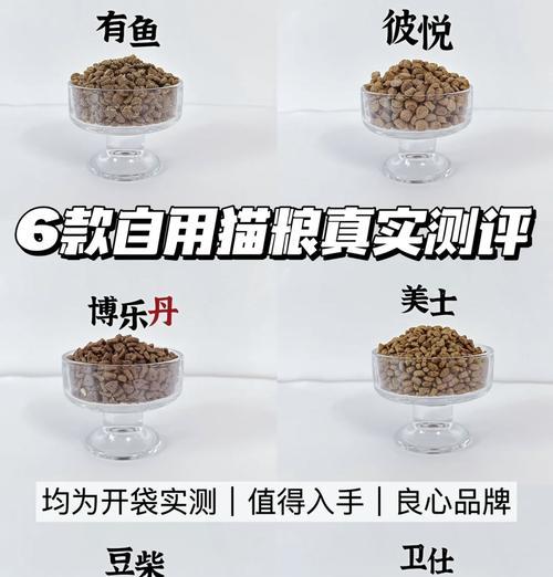 打鼠皇猫粮口感如何？哪款猫粮更适合打鼠皇？