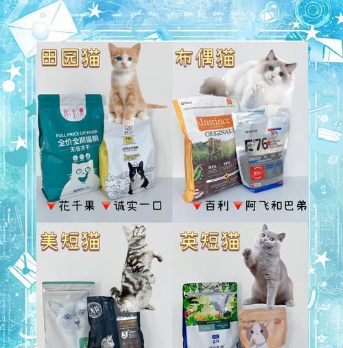开设猫舍时应选择哪种猫粮？
