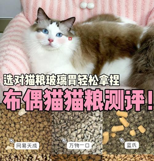 布偶制作的猫粮是什么？有何特别之处？