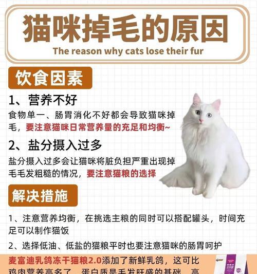 狮子猫的饮食偏好是什么？