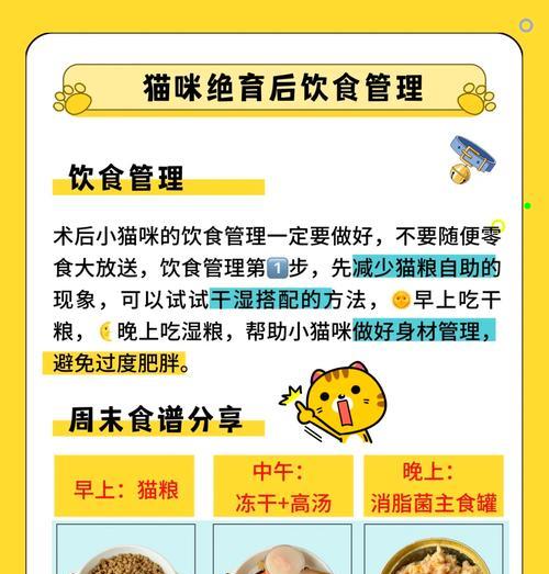 绝育母猫应选择哪种猫粮？绝育后猫咪饮食有何变化？