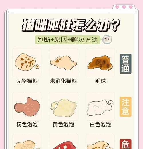 猫咪拉猫粮但精神很好怎么办啊怎么办？如何处理猫咪消化不良？