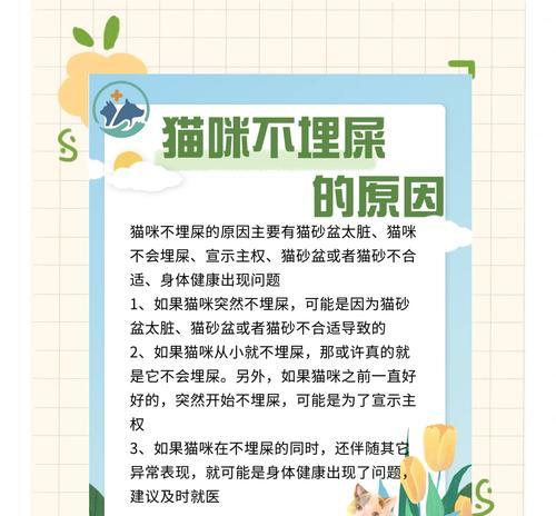 猫咪突然不吃猫粮是什么原因？