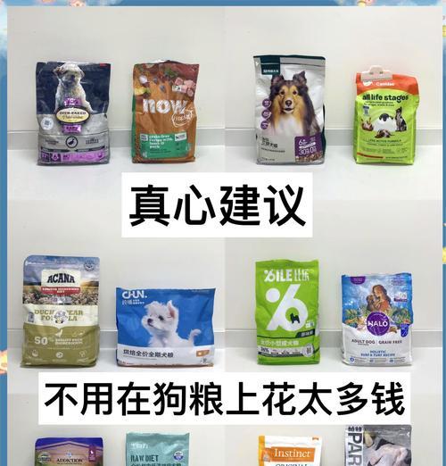 养小德牧每月狗粮开销是多少？如何选择性价比高的狗粮？