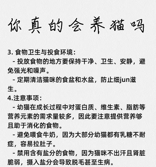 45天幼猫不食猫粮可选择哪些食物？