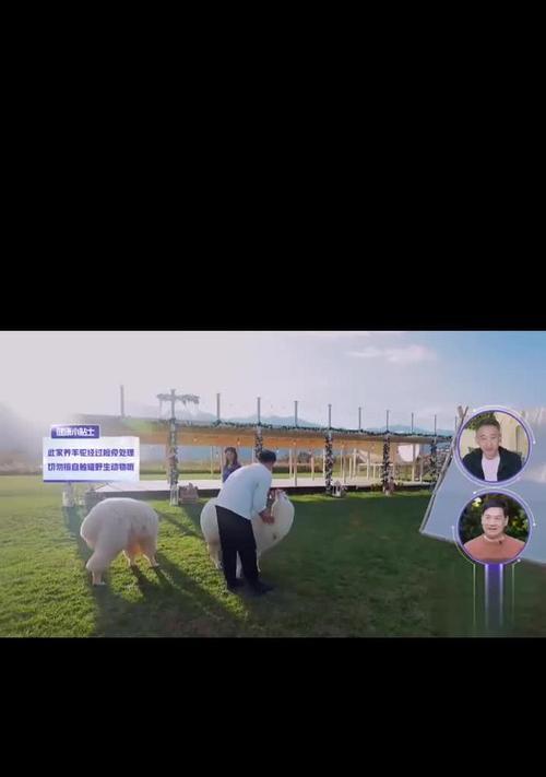 羊驼喷黑色口水的原因是什么？羊驼健康状况的标志有哪些？