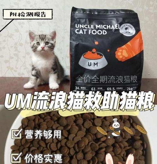 地下室放置猫粮，流浪猫能否发现？