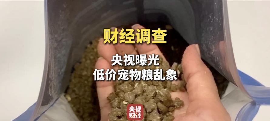 黑猫为何不能食用普通猫粮？