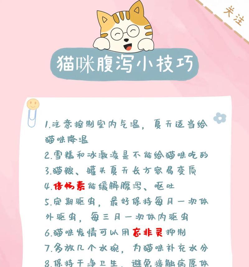 拉肚子的猫怎么吃猫粮啊？如何调整饮食帮助恢复？