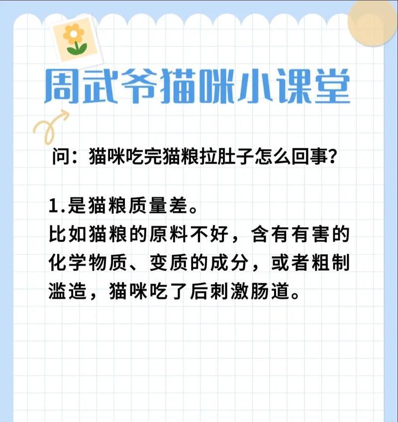 拉肚子的猫怎么吃猫粮啊？如何调整饮食帮助恢复？