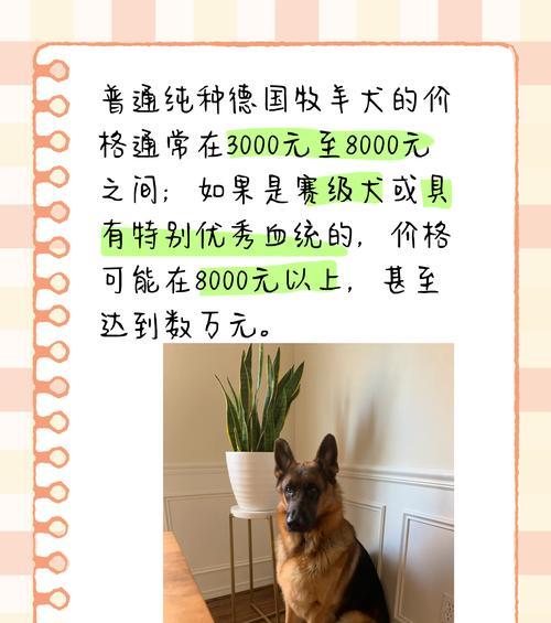养一条德牧狗一个月多少钱？养德牧的费用明细有哪些？