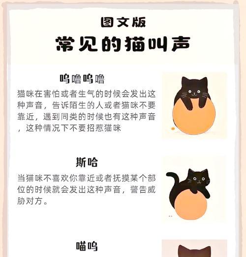 猫咪没猫粮时会发出什么叫声？这代表什么？