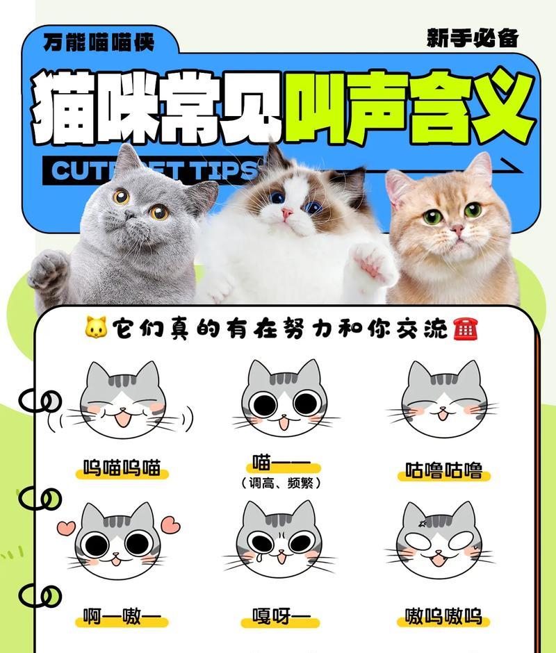 猫咪没猫粮时会发出什么叫声？这代表什么？