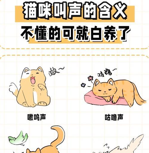 猫咪没猫粮时会发出什么叫声？这代表什么？