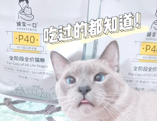 诚实一口猫粮哪一系列性价比高？
