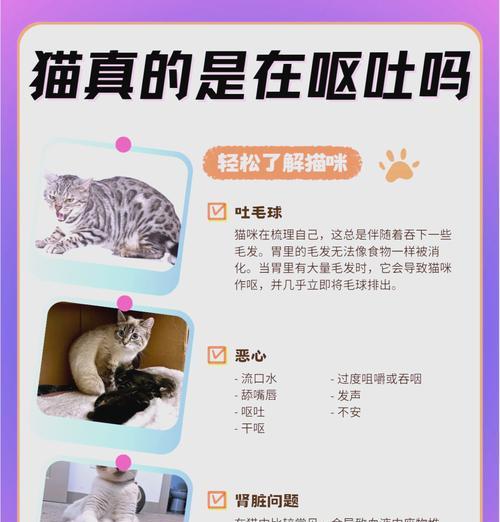 猫咪呕吐不吃东西怎么办？有哪些可能的原因和解决方法？