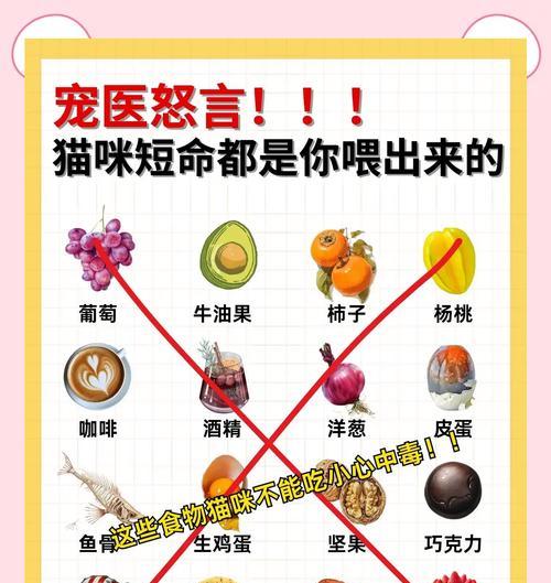 猫咪不爱嚼猫粮的原因是什么？