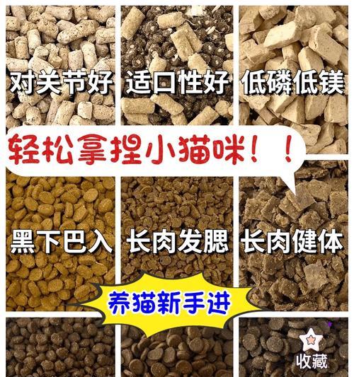 猫咪不爱嚼猫粮的原因是什么？