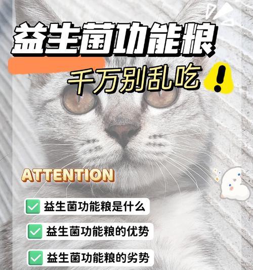 益生菌猫粮为何受到猫咪的喜爱？