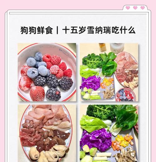 雪纳瑞每天吃多少鸡肝？如何合理安排雪纳瑞的饮食？