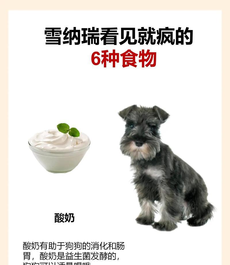 雪纳瑞每天吃多少鸡肝？如何合理安排雪纳瑞的饮食？
