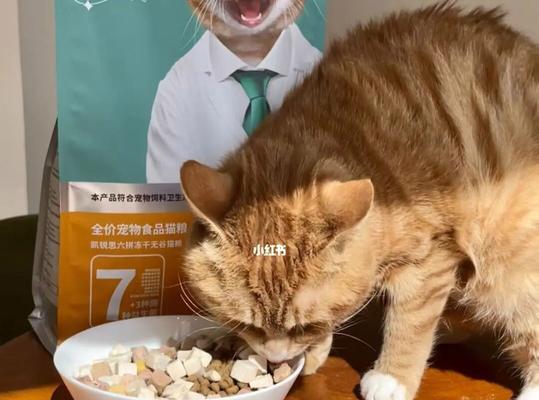 一岁橘猫和狸猫的猫粮选择有何不同？哪种猫粮更适合它们？