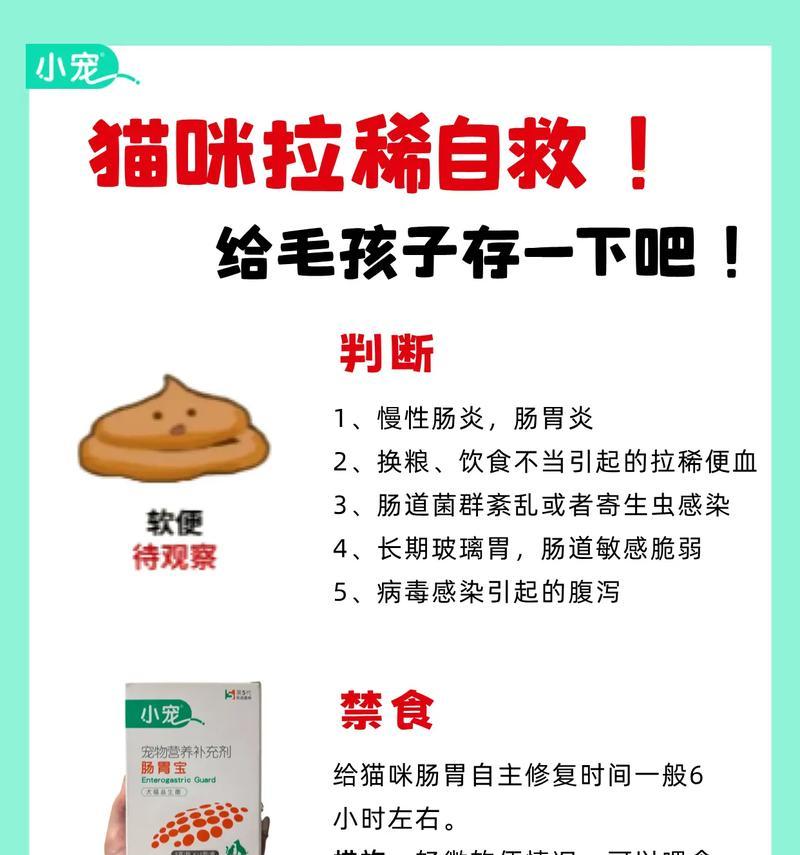 奶和猫粮混合会拉稀吗？原因是什么？