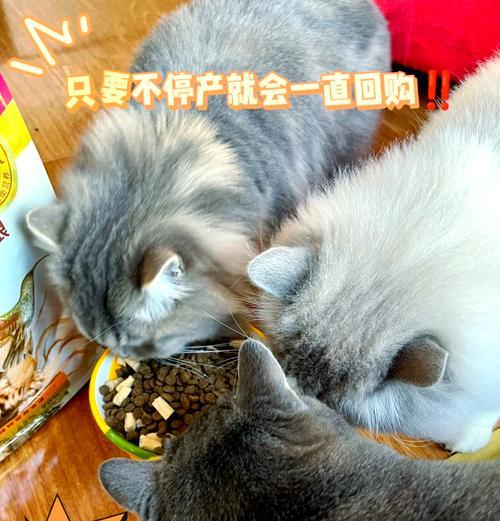 猫咪同时吃猫粮和火腿肠好吗？这样喂食有什么风险？