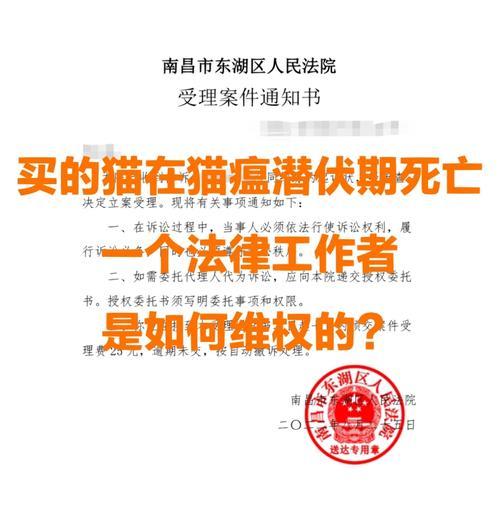 朕的猫粮检测不到猫瘟该如何处理？
