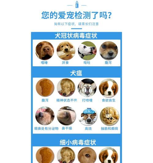朕的猫粮检测不到猫瘟该如何处理？