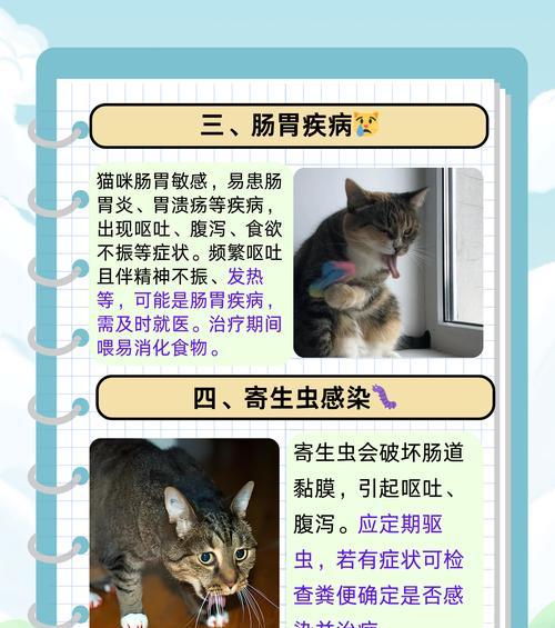 猫咪为何吃了猫粮会呕吐？如何解决这一问题？
