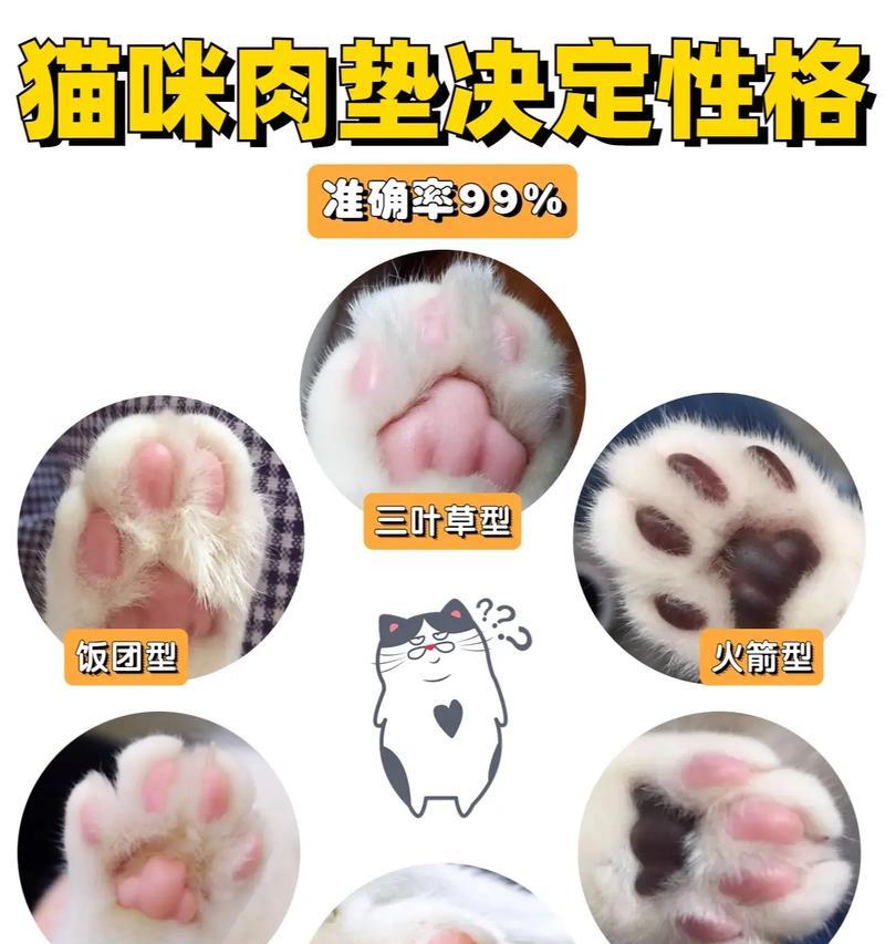 猫咪粉肉垫适合哪种猫粮？