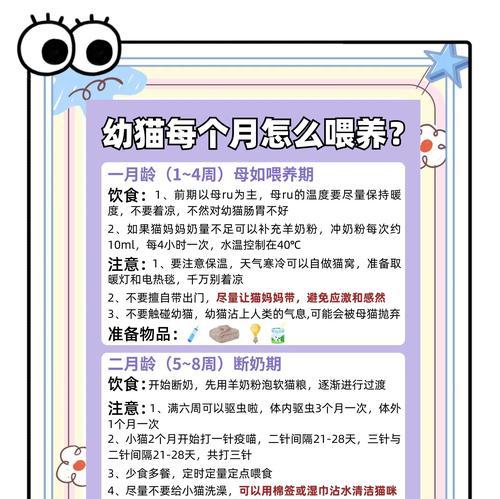 如何根据猫咪成长阶段调整喂粮量？
