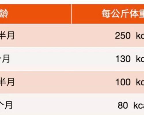 如何根据猫咪成长阶段调整喂粮量？