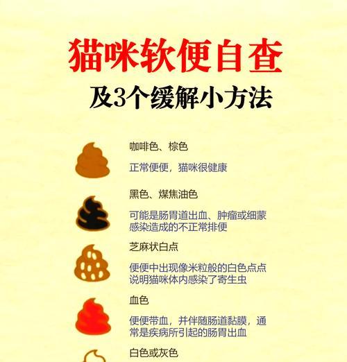 全肉猫粮导致拉稀的解决方法是什么？