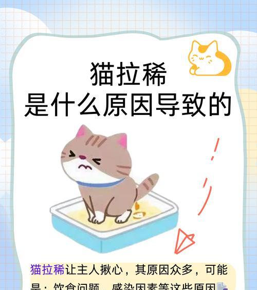 全肉猫粮导致拉稀的解决方法是什么？