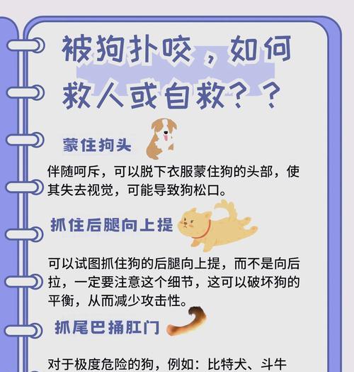 金毛犬轻咬人但不使劲是什么原因？如何纠正这种行为？