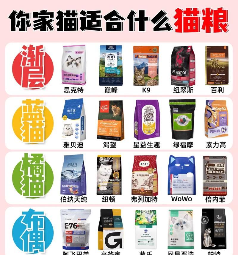 送猫粮作为礼物是否合适？
