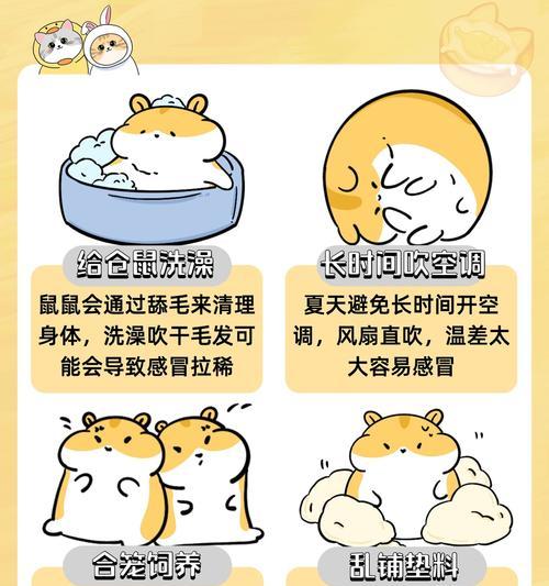 仓鼠误食猫粮会有哪些不良反应？