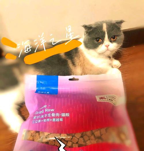 海鲜猫粮是如何制作的？制作过程中需要注意什么？