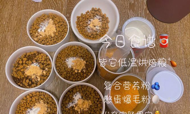 猫咪吃自制湿粮的最有效方法是什么？