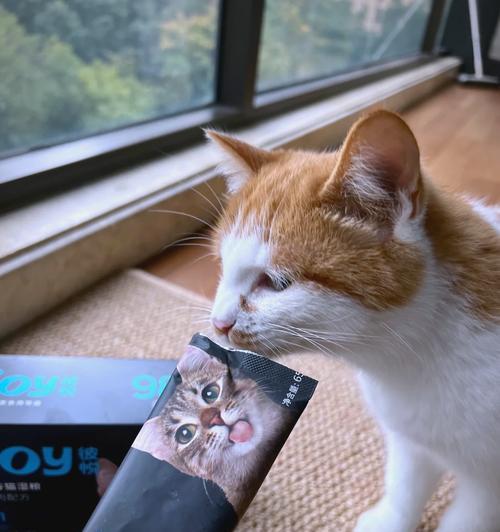 猫咪吃自制湿粮的最有效方法是什么？