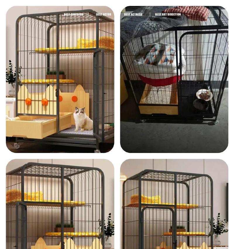 猫粮、猫砂和猫笼有何区别？各自的用途是什么？