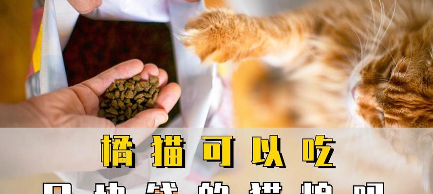橘猫食用增重猫粮会有哪些影响？