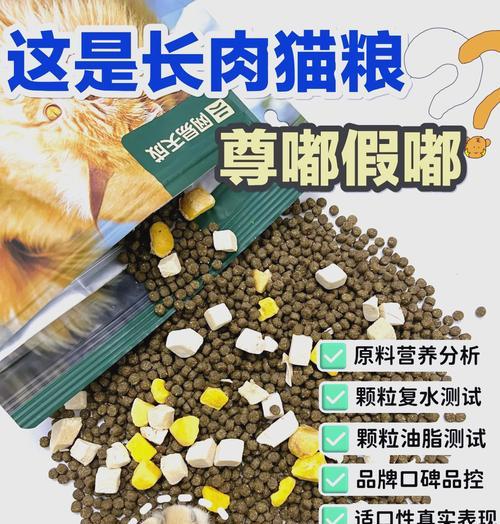 哪些猫粮可能导致猫咪肥胖？
