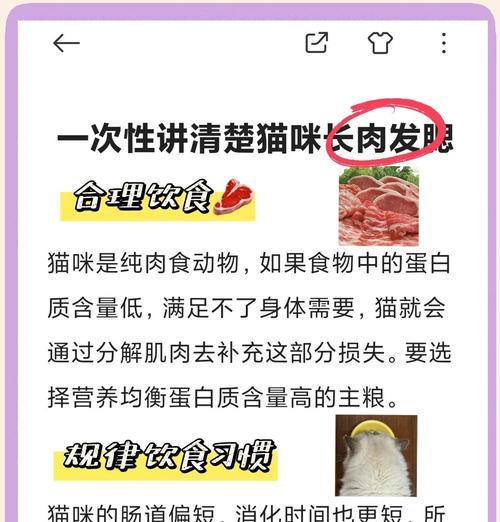 猫越养越瘦怎么办？选择哪种猫粮更合适？