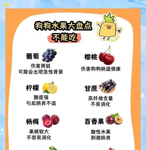 狗粮短缺时可以给狗吃哪些水果？