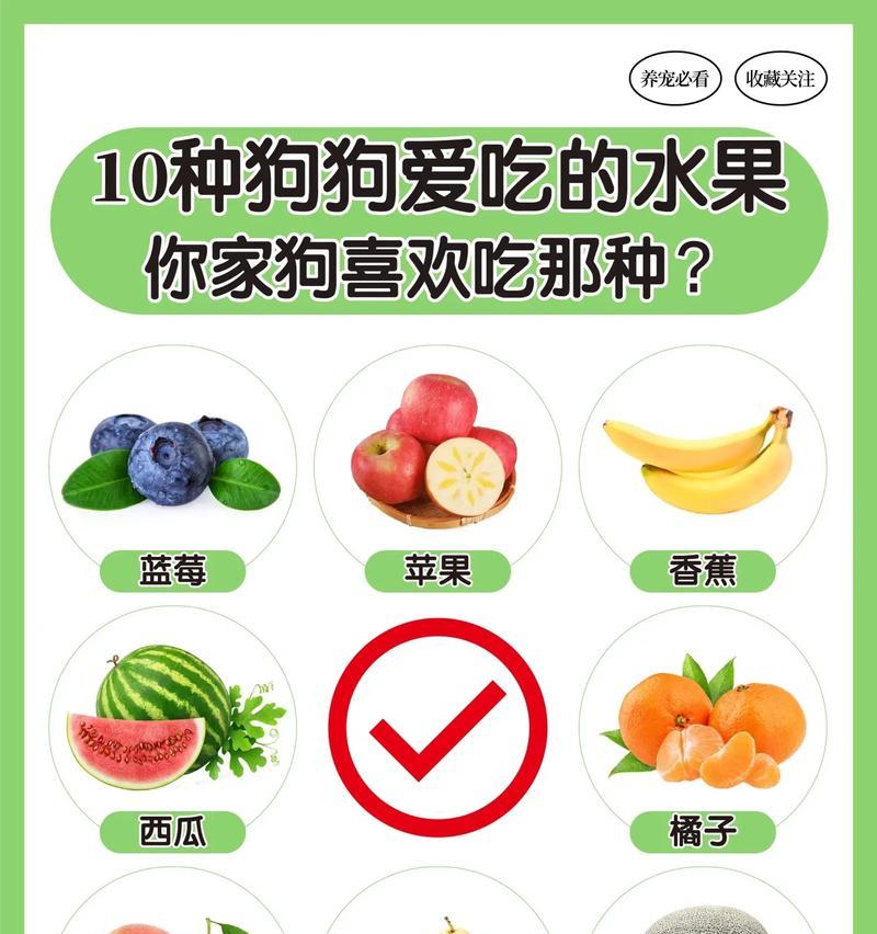 狗粮短缺时可以给狗吃哪些水果？